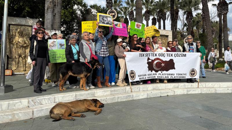 Hayvan Hakları Platformu’ndan 40 İlde Eş Zamanlı Açıklama…