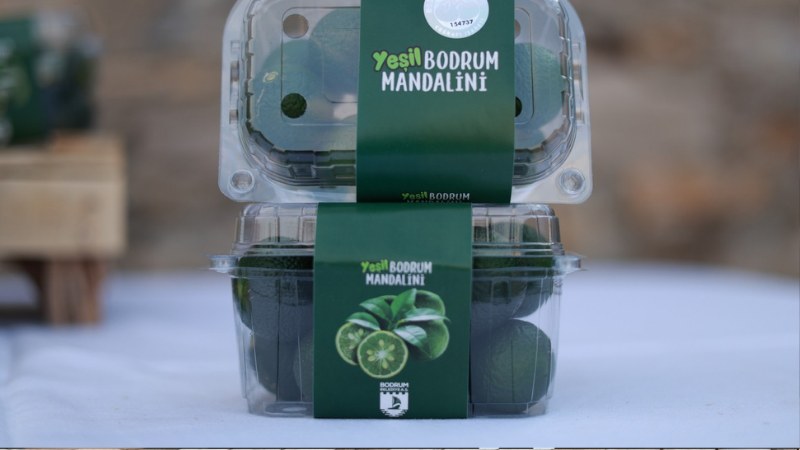 Yeşil Bodrum Mandalini Sektör Buluşması