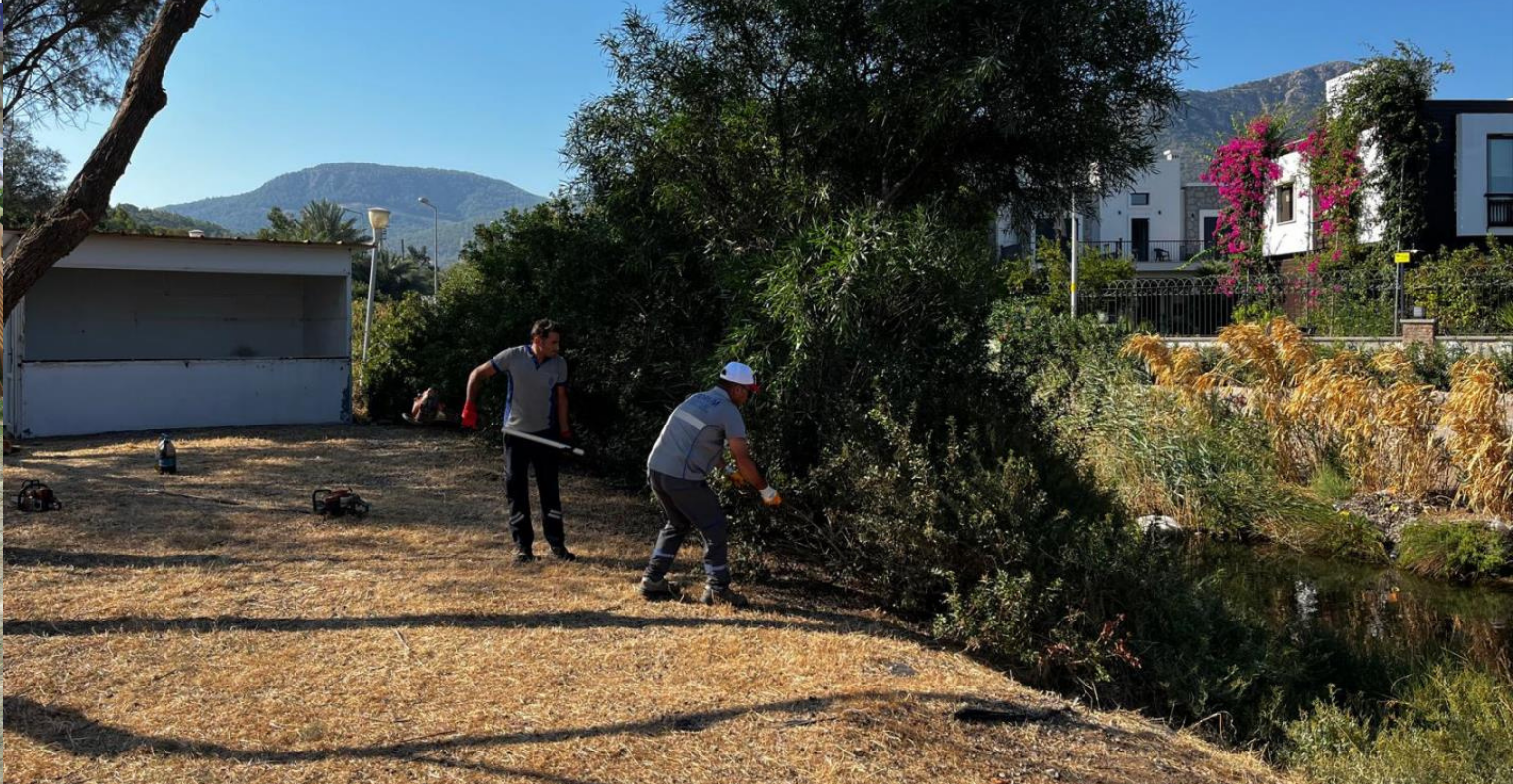 Bodrum’da Ot Temizliği Çalışmaları Sürüyor