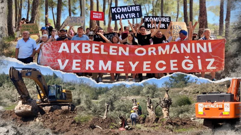 Akbelen’de Kritik Gün: 7 Köy, 679 Parsel İçin Gözler Danıştay’da…